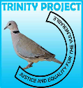 Trinity Projects